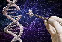 ابداع روشی قابل کنترل و برگشت پذیر برای اصلاح ژن